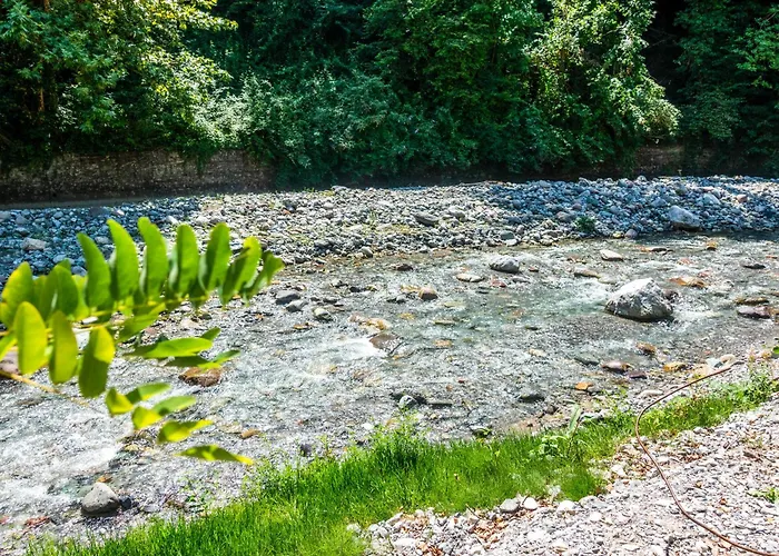 Sogno Sul Fiume *